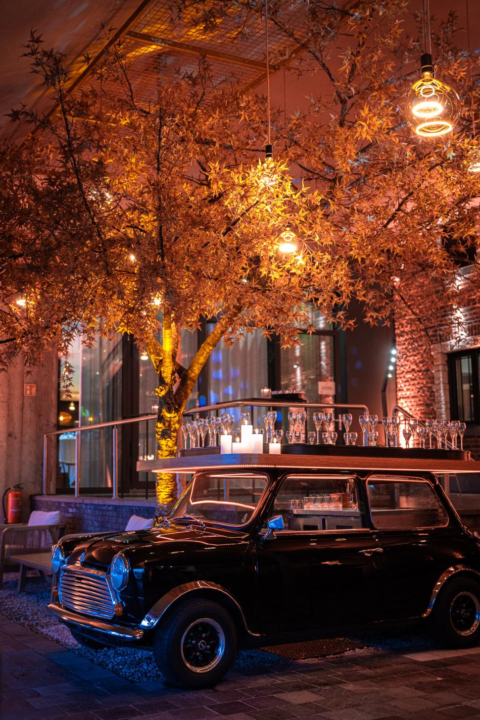 Kattebroek x Silk-ka