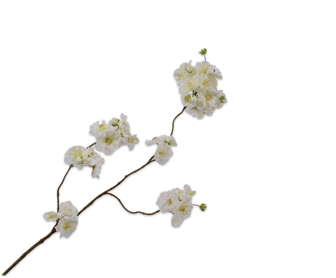 BLOESEM TAK WT/GRN  84 cm