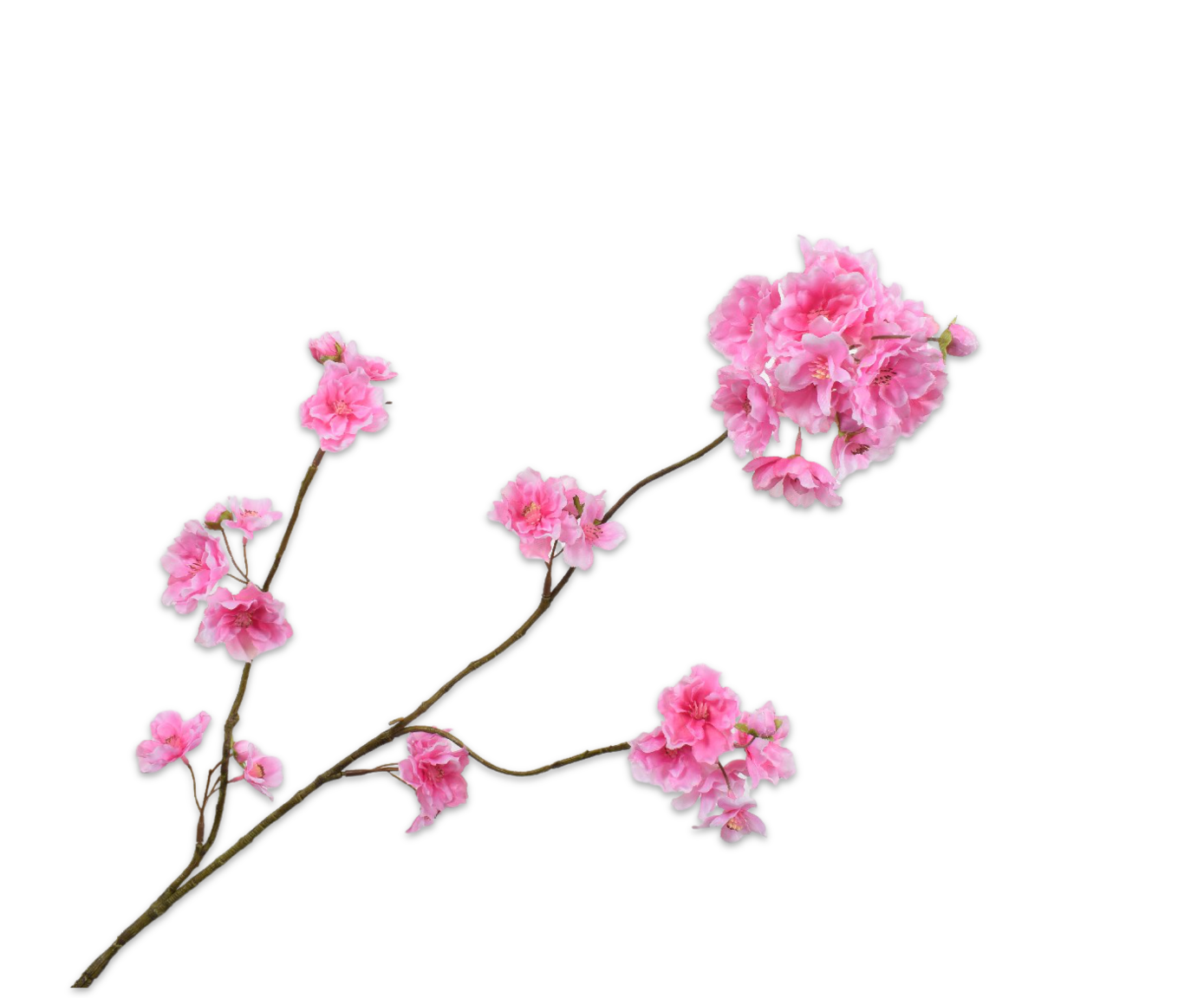 BLOESEM TAK ROZE LT  84 cm