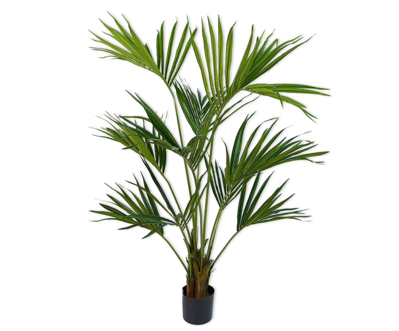 PALM I/POT GREEN  150 CM