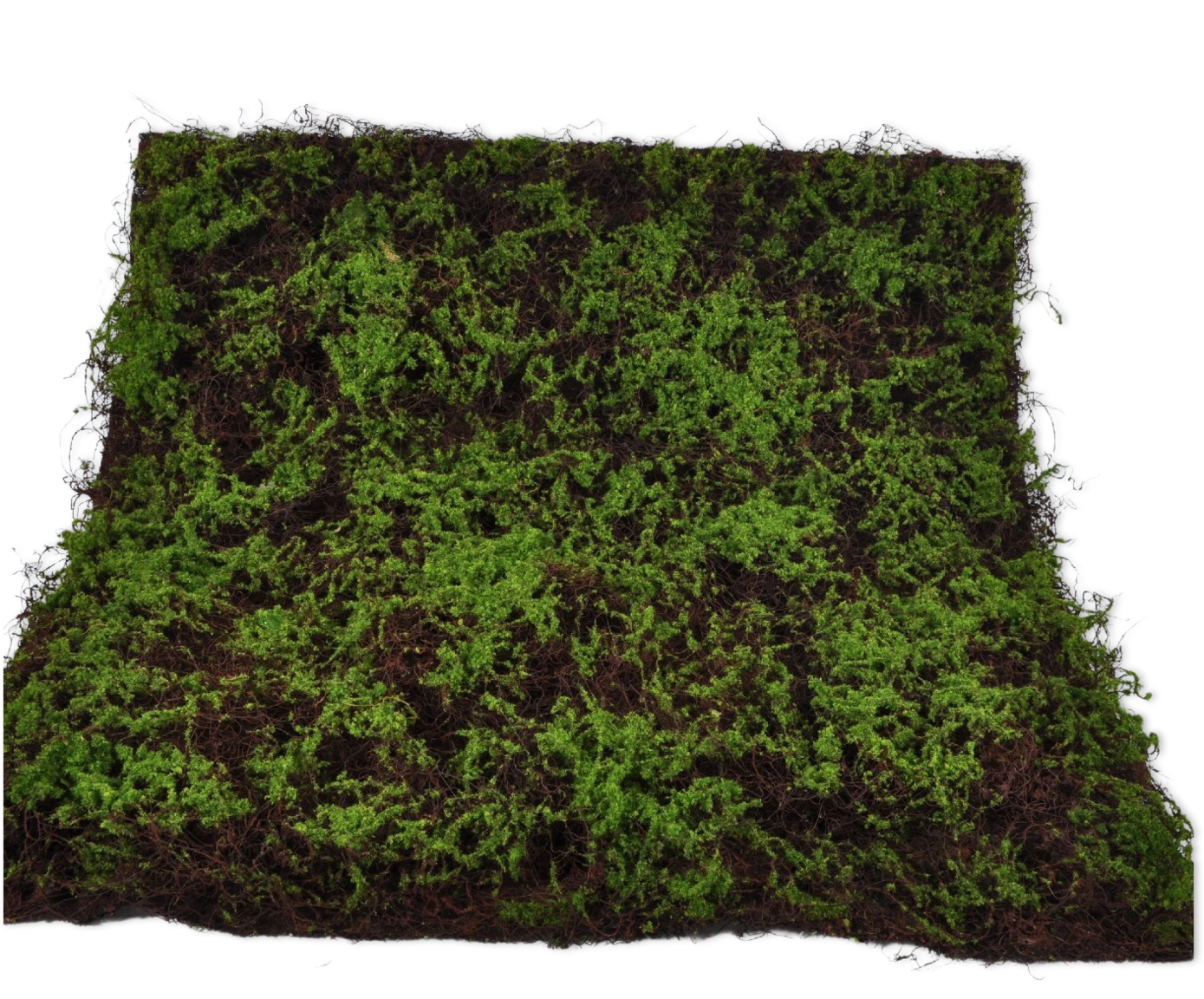 MUSCHIO FOGLIA VERDE  100 CM