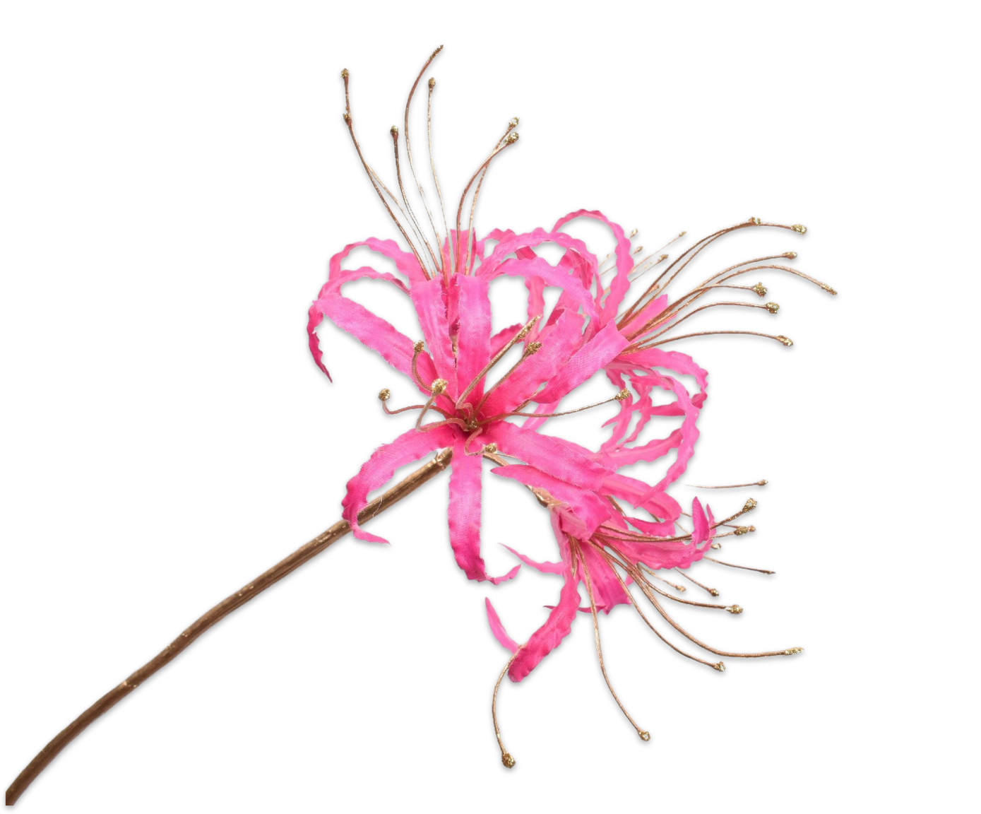 NERINE STEM GOLD/PINK  93 CM