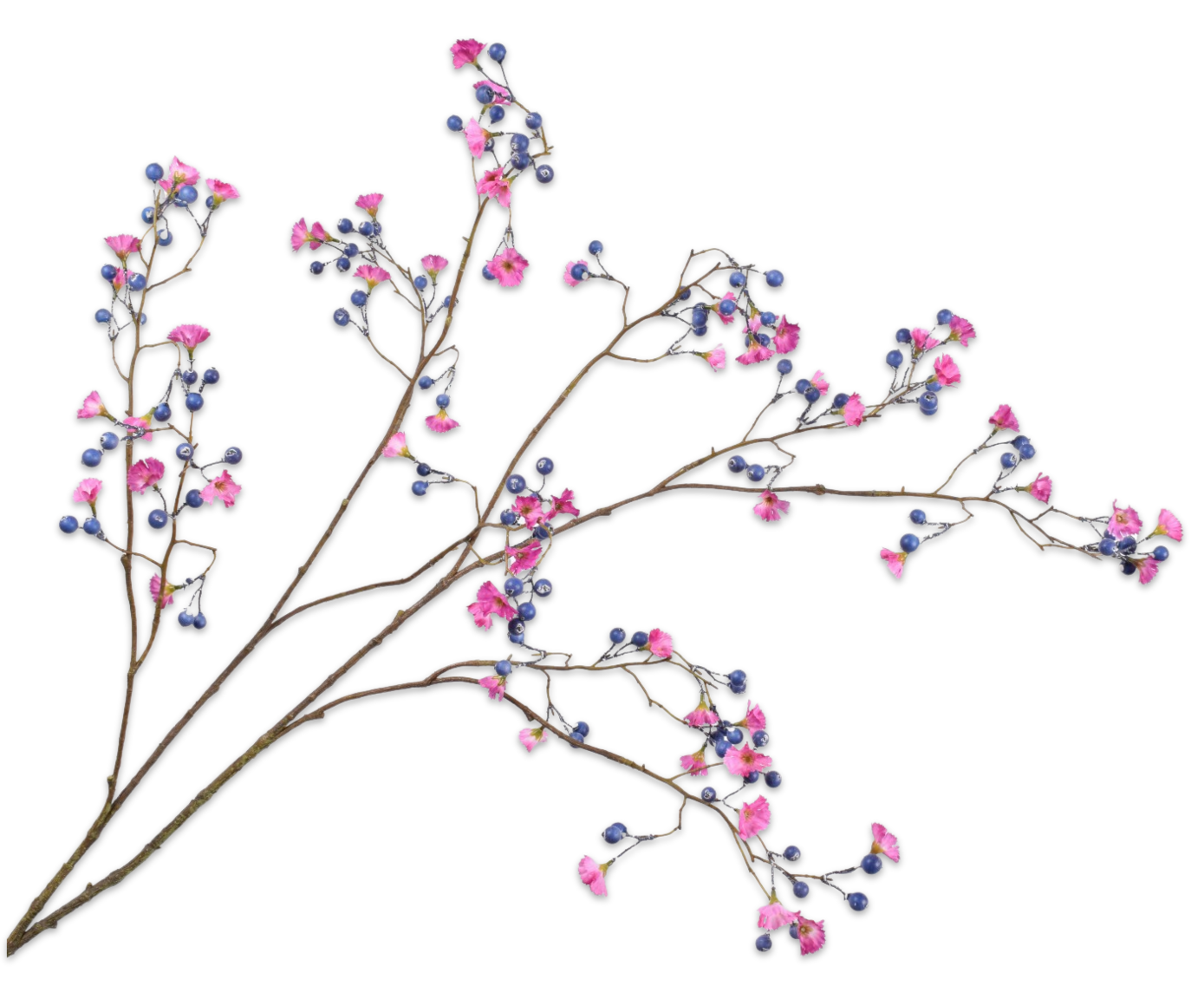 RAMA BAYAS  VIOLETA  125 CM