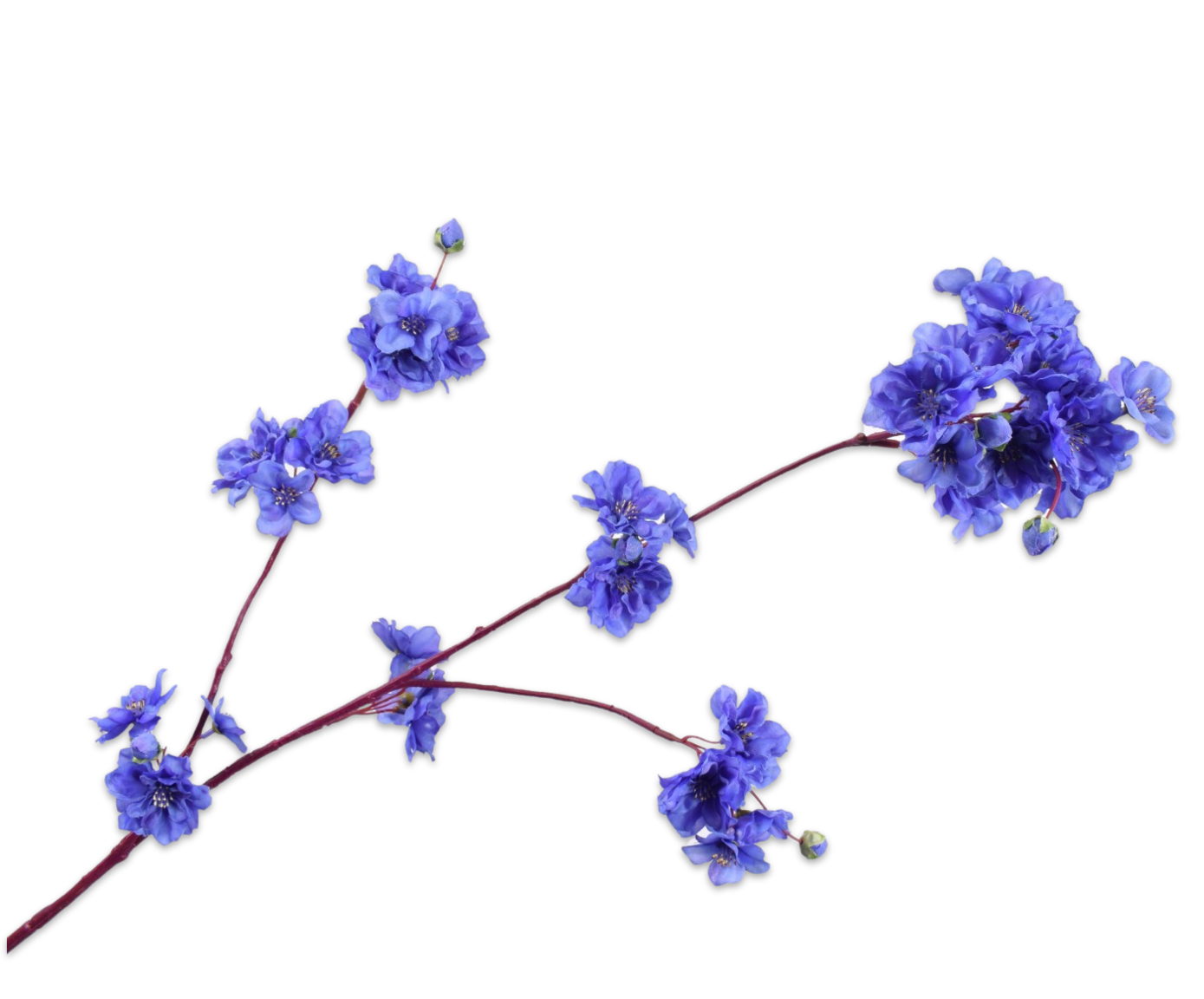 CAPULLOS RAMA VIO CLA  84 CM