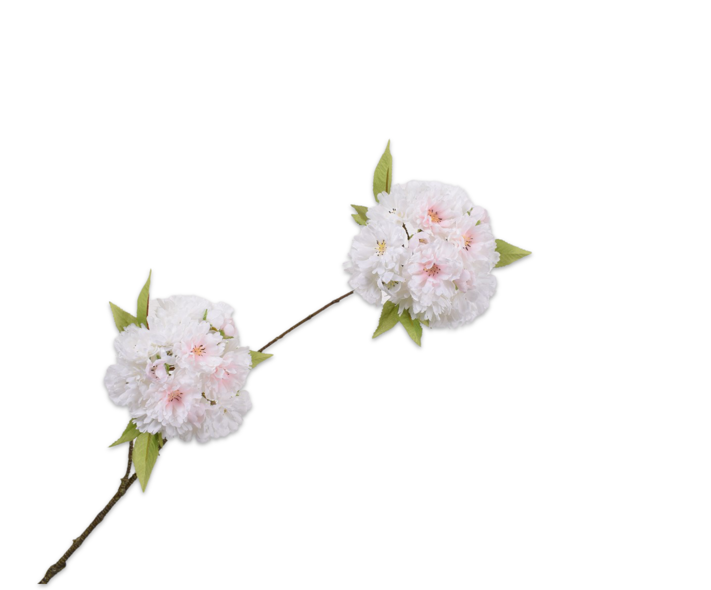 BLOESEM TAK CREME 72 cm