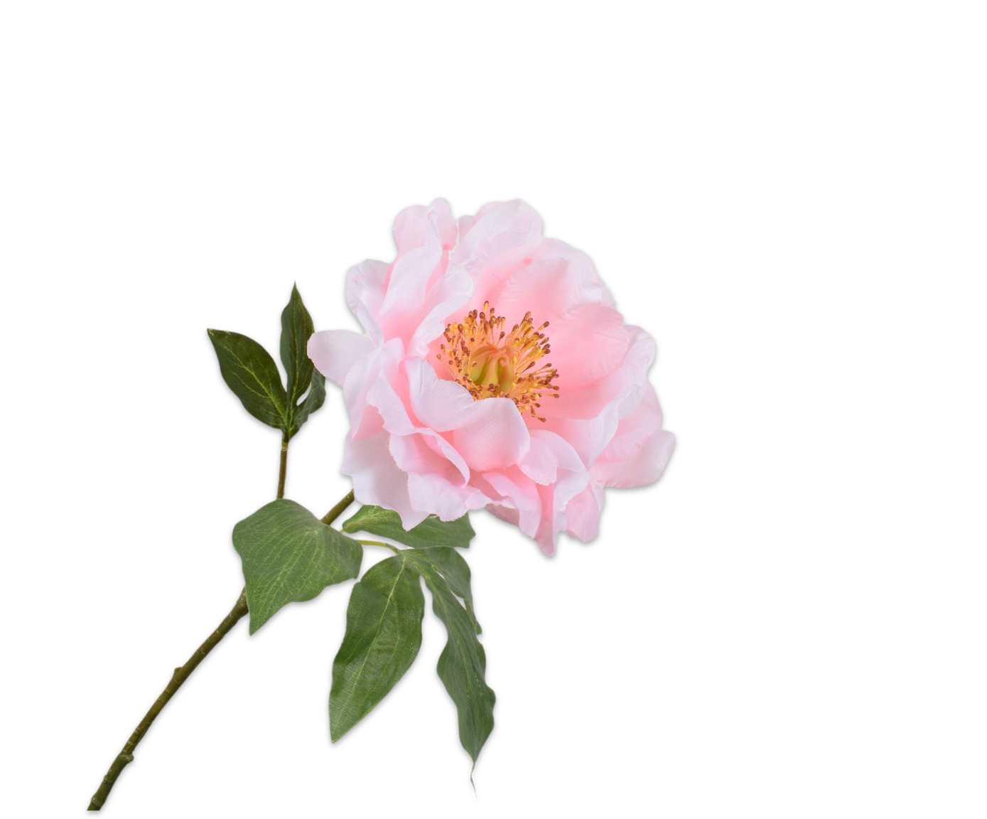 PIOEN STEEL ROZE LT 56 cm