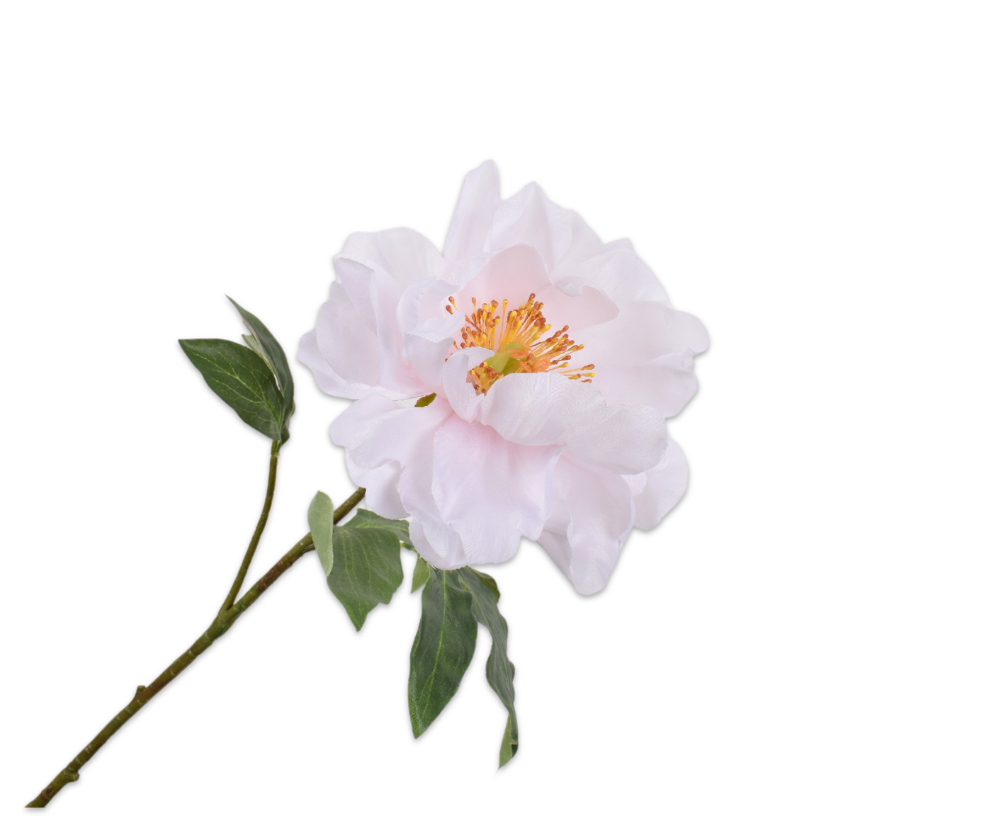 PIOEN STEEL PRS LT 56 cm