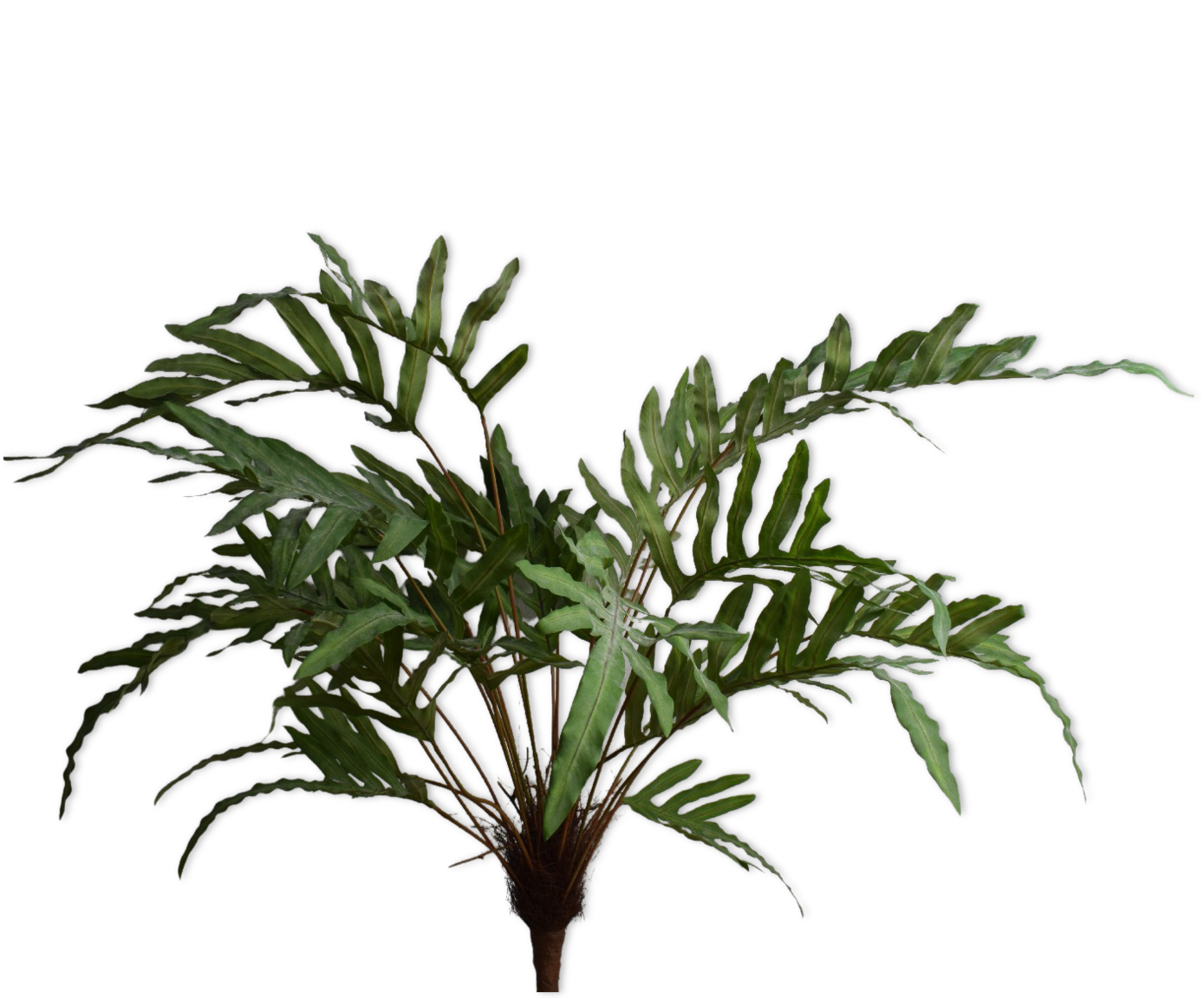 FERN BUSH GREEN  112 CM
