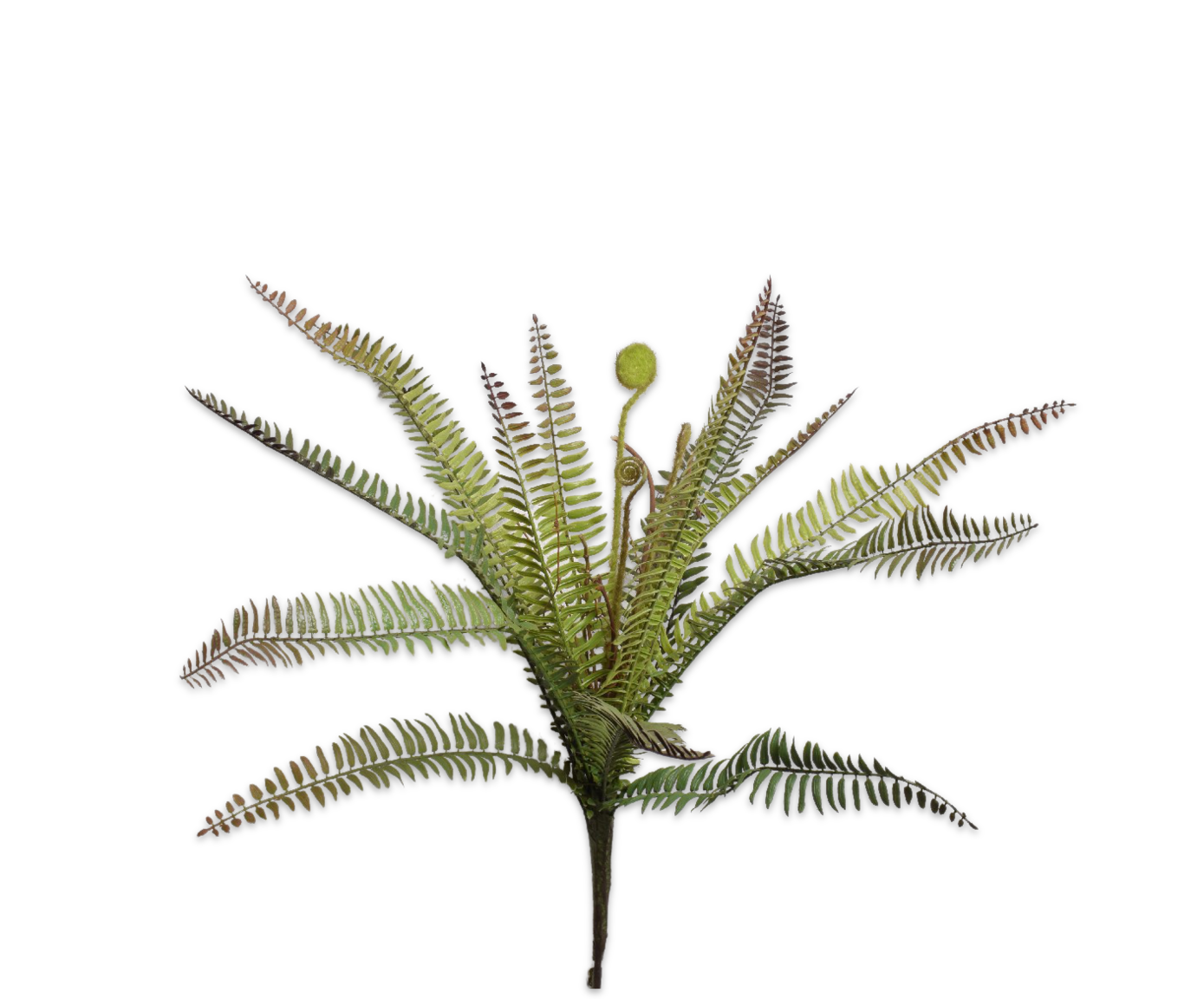 HELECHO ARBUSTO VERDE  57 CM