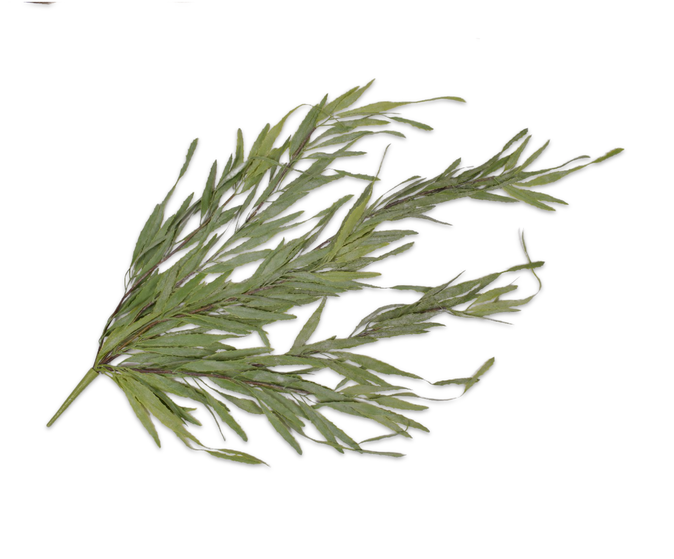 SUCCULENT BUSH GRN LT  122 CM