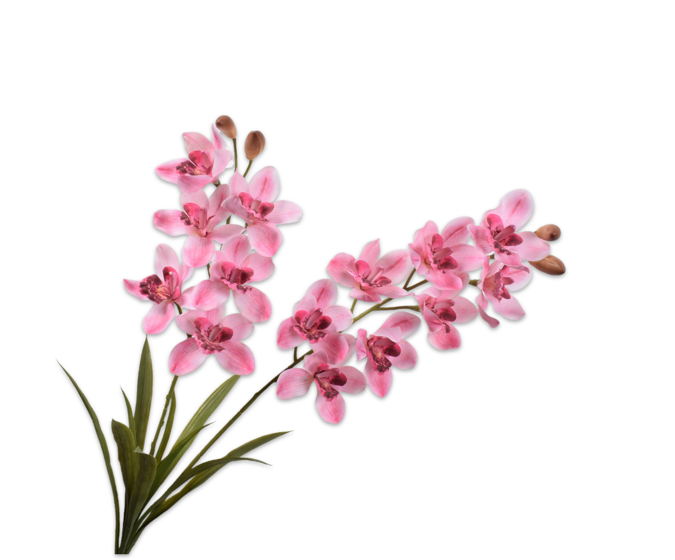 CYMBIDIUM M/BLAD ROZE 86 cm