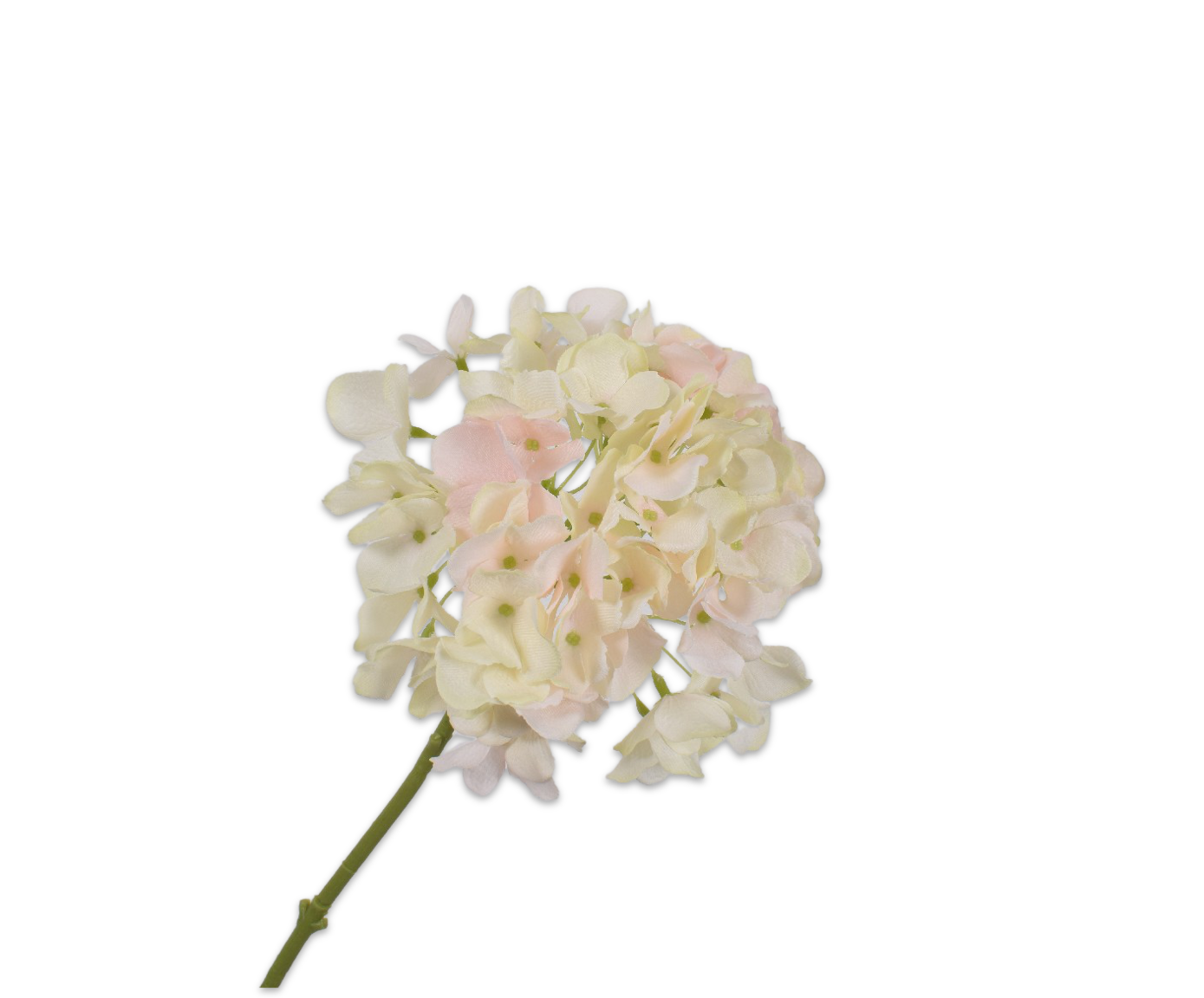 HORTENSIE STIEL CR/ROS  48 CM