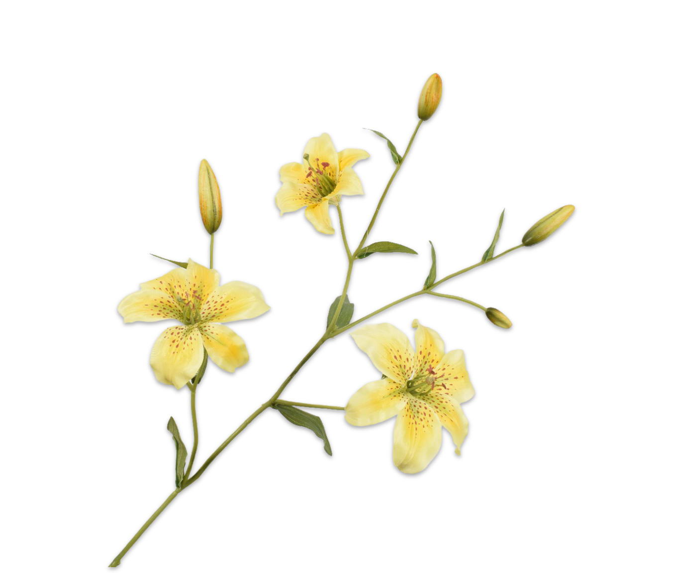 LELIE TAK GEEL 114 cm