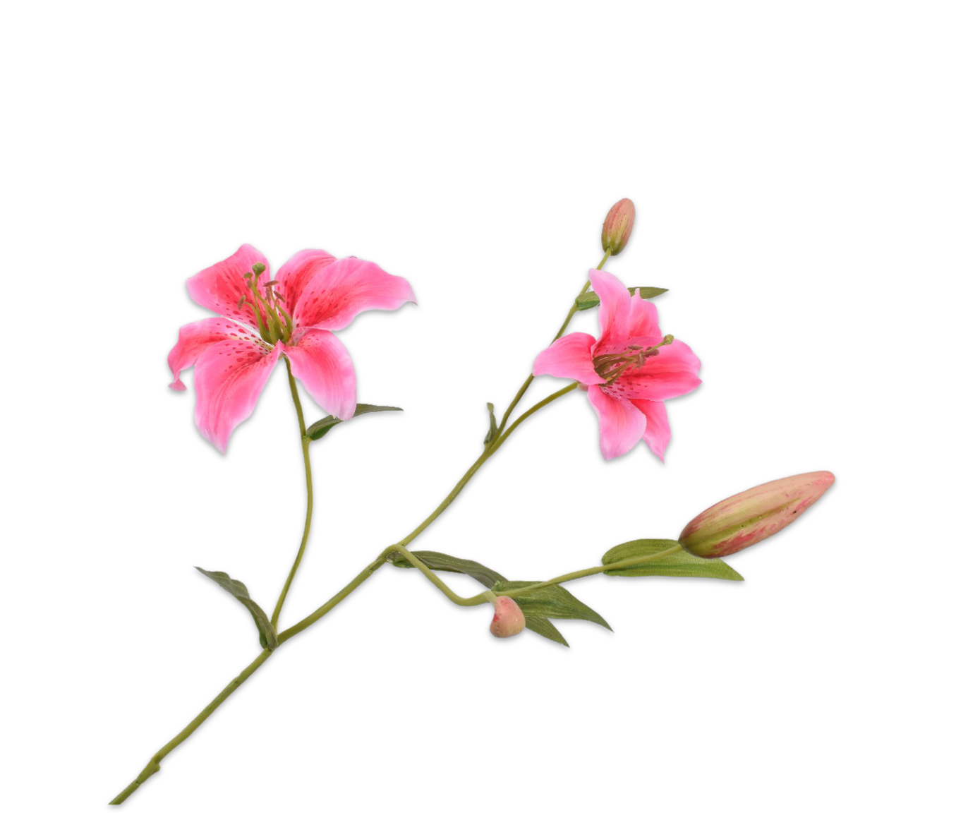 LELIE TAK ROZE DK 90 cm