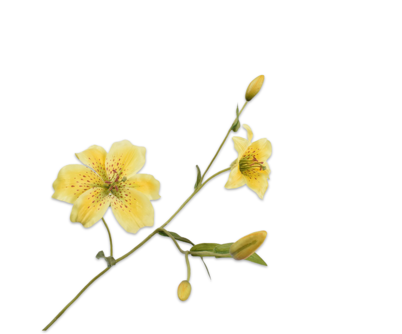 LELIE TAK GEEL 90 cm