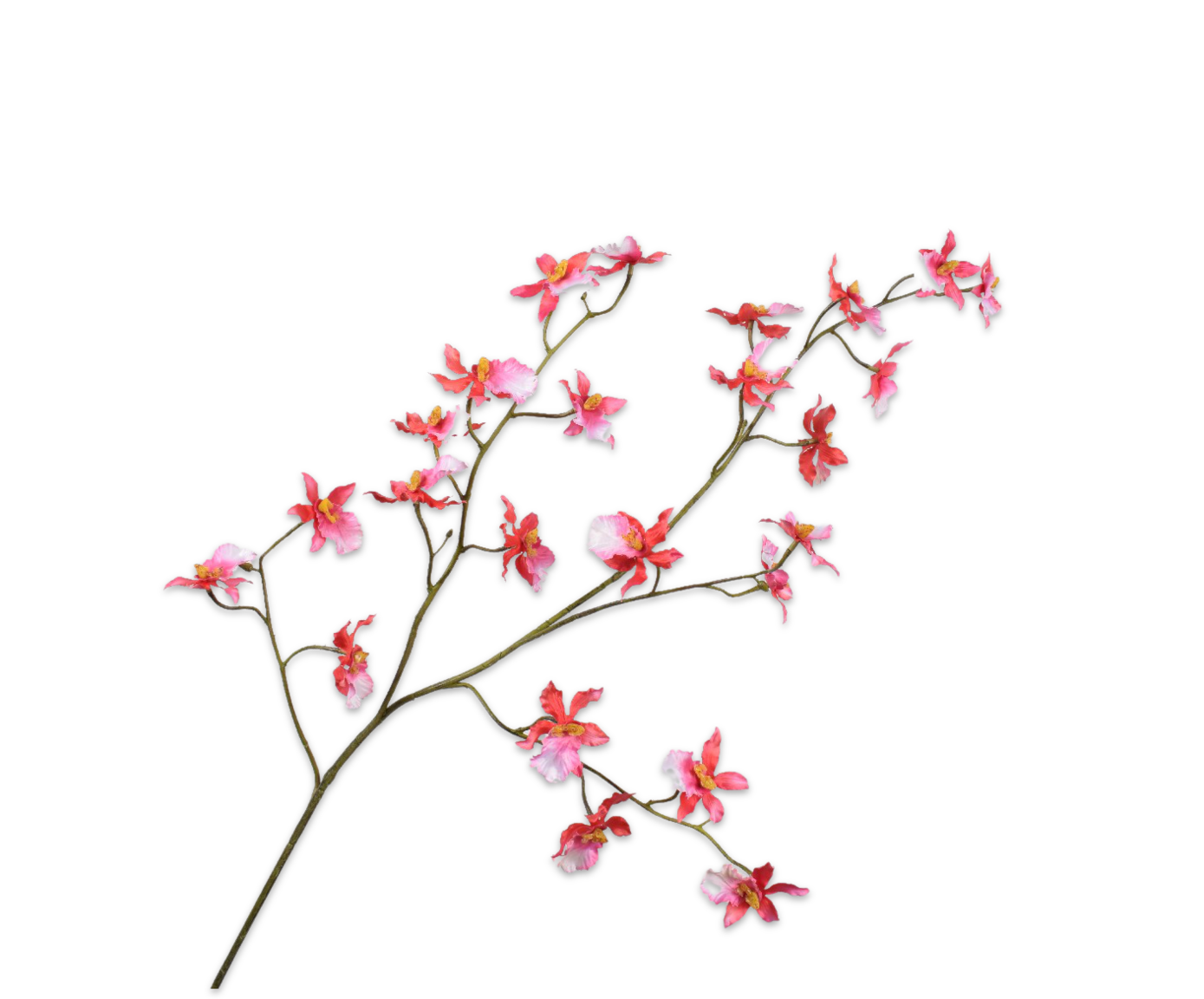 ORCHIDEE ZWEIG ORA/BTY  100 CM