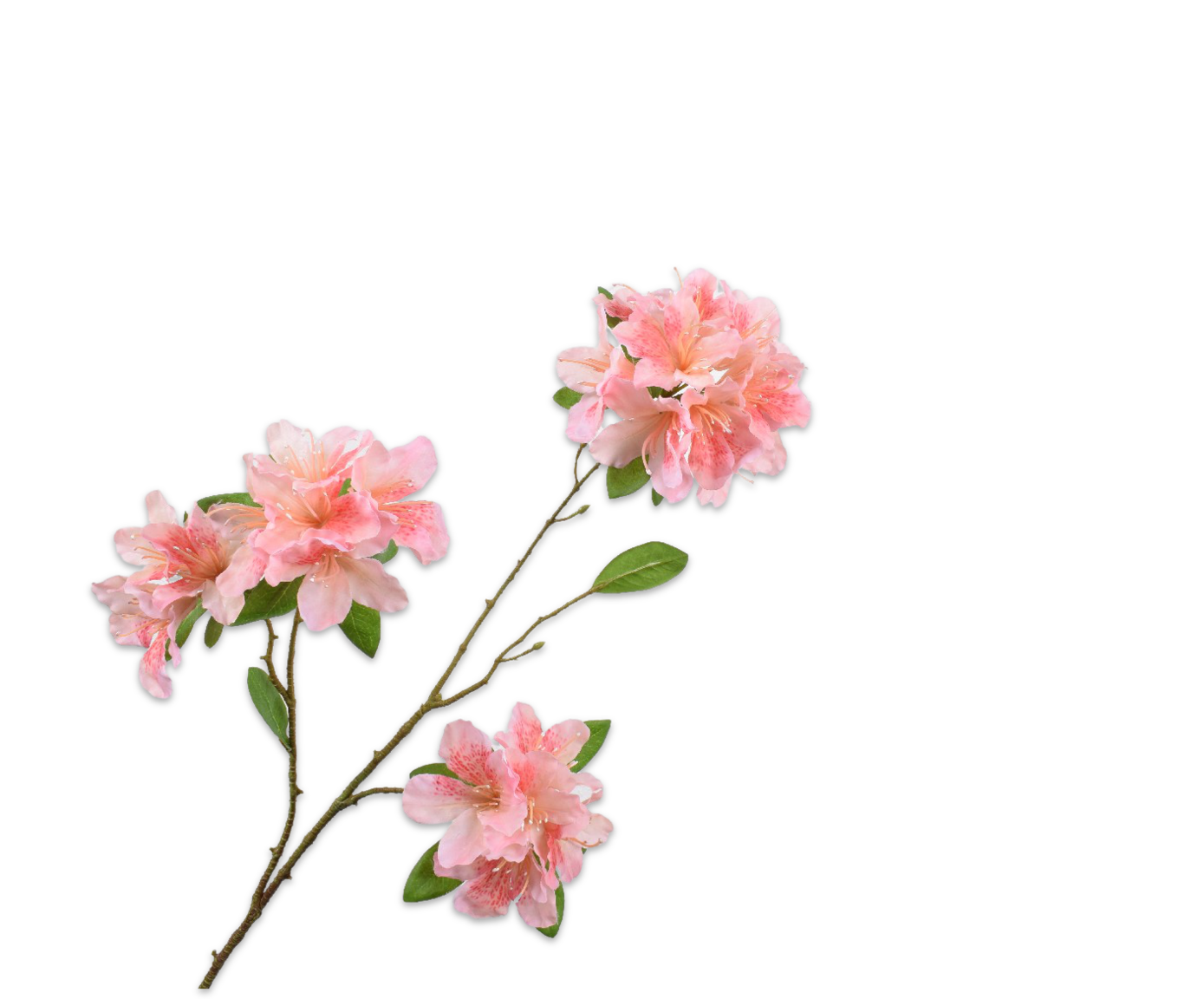 RODODENDRO RAMO ROSA  72 CM