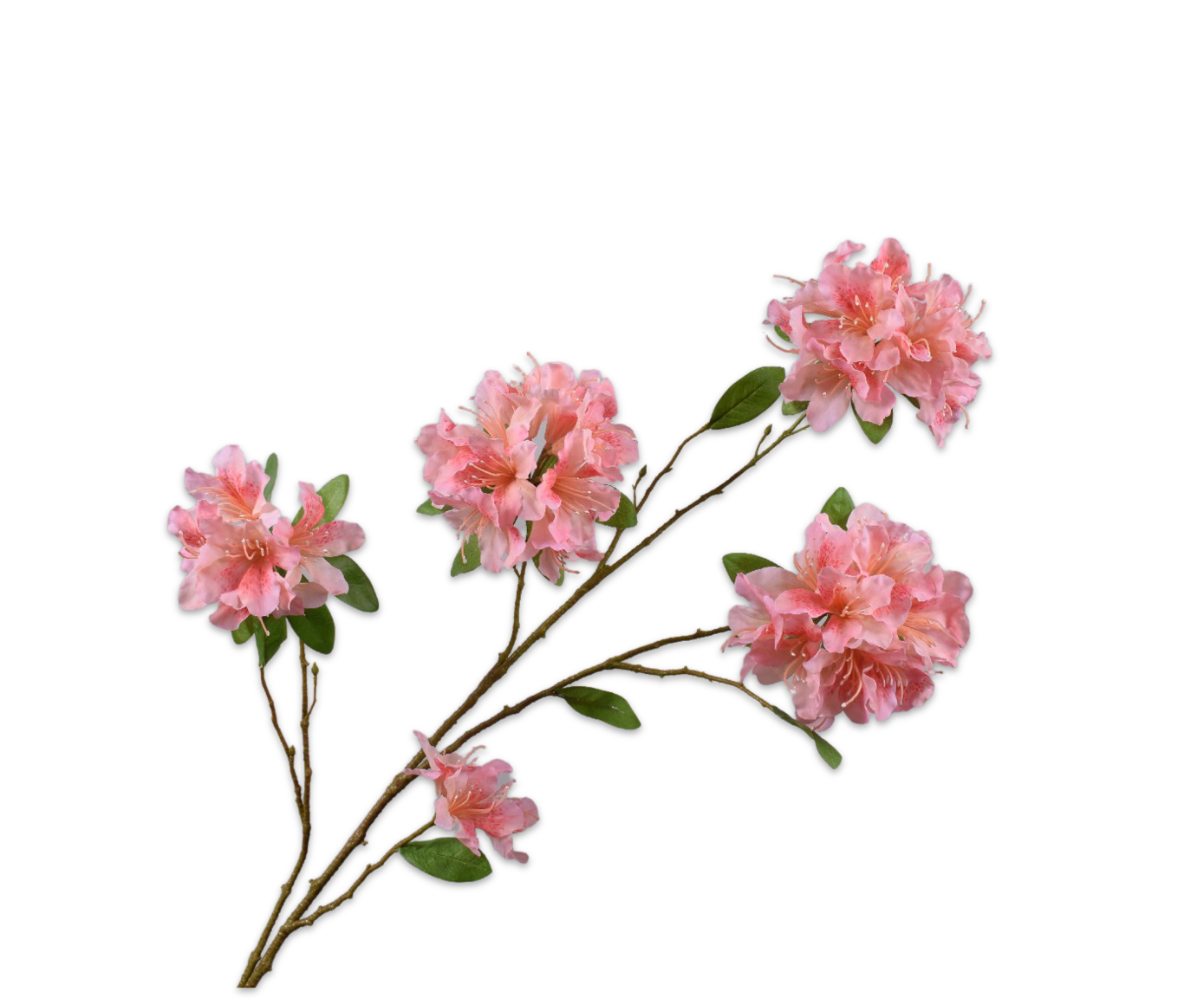 RODODENDRO RAMO ROSA  114 CM