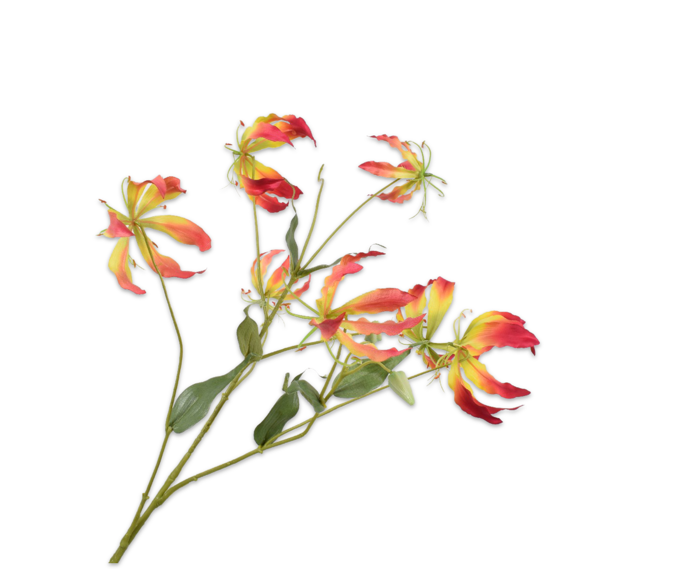 GLORIOSA RAMO GIA/ROSA  110 CM