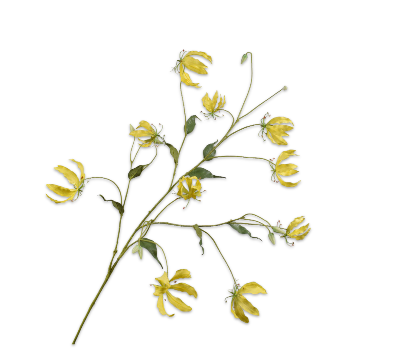 GLORIOSA RAMO GIALLO  130 CM