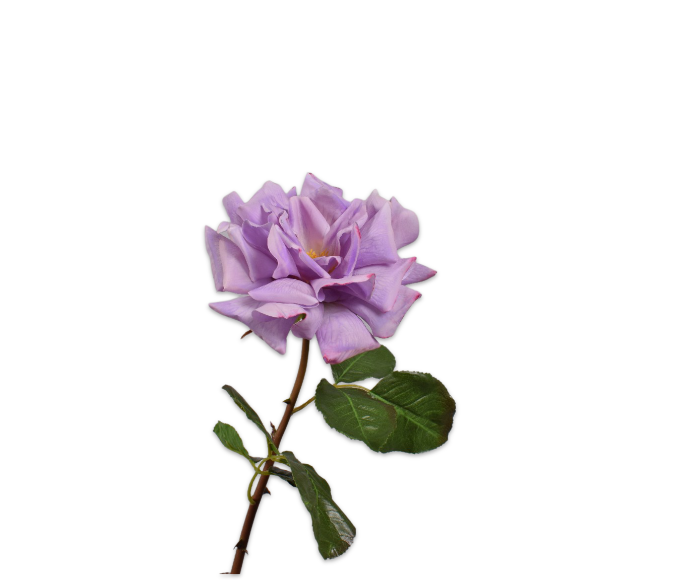 ROSE PÉDONCULE VIO LU RT  69 CM