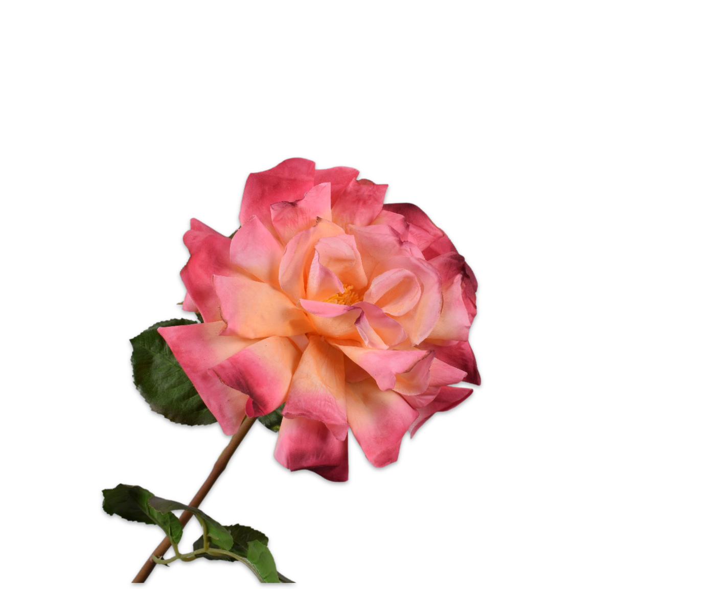 ROOS STEEL MAUVE RT 69 cm