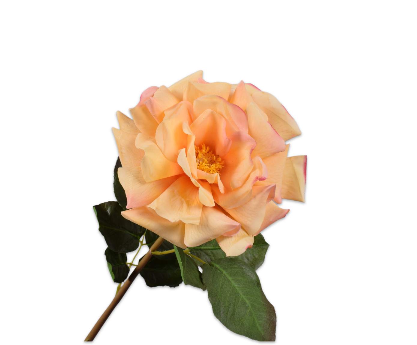 ROOS STEEL GEEL RT 69 cm