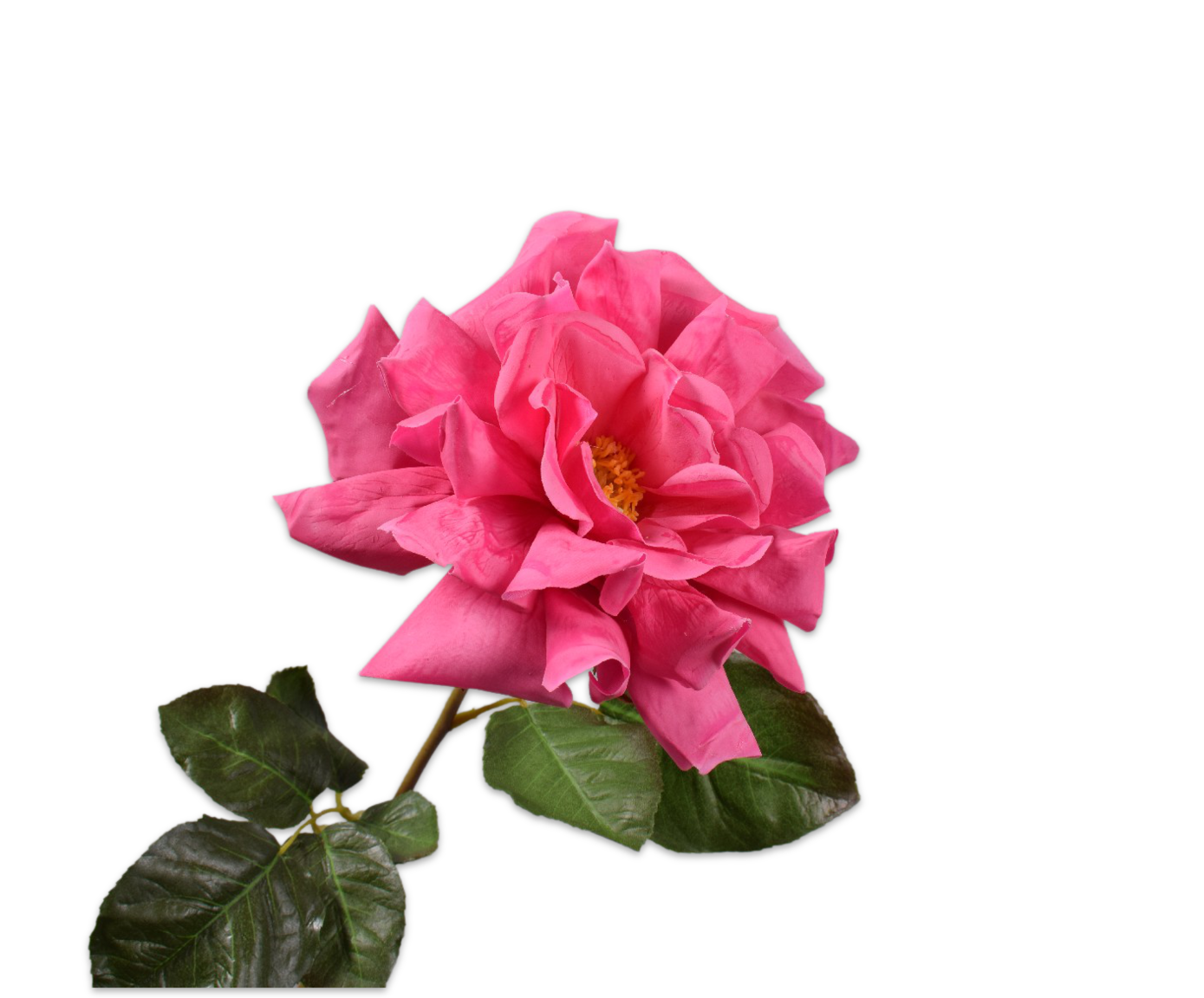 ROOS STEEL BEAUTY RT 69 cm