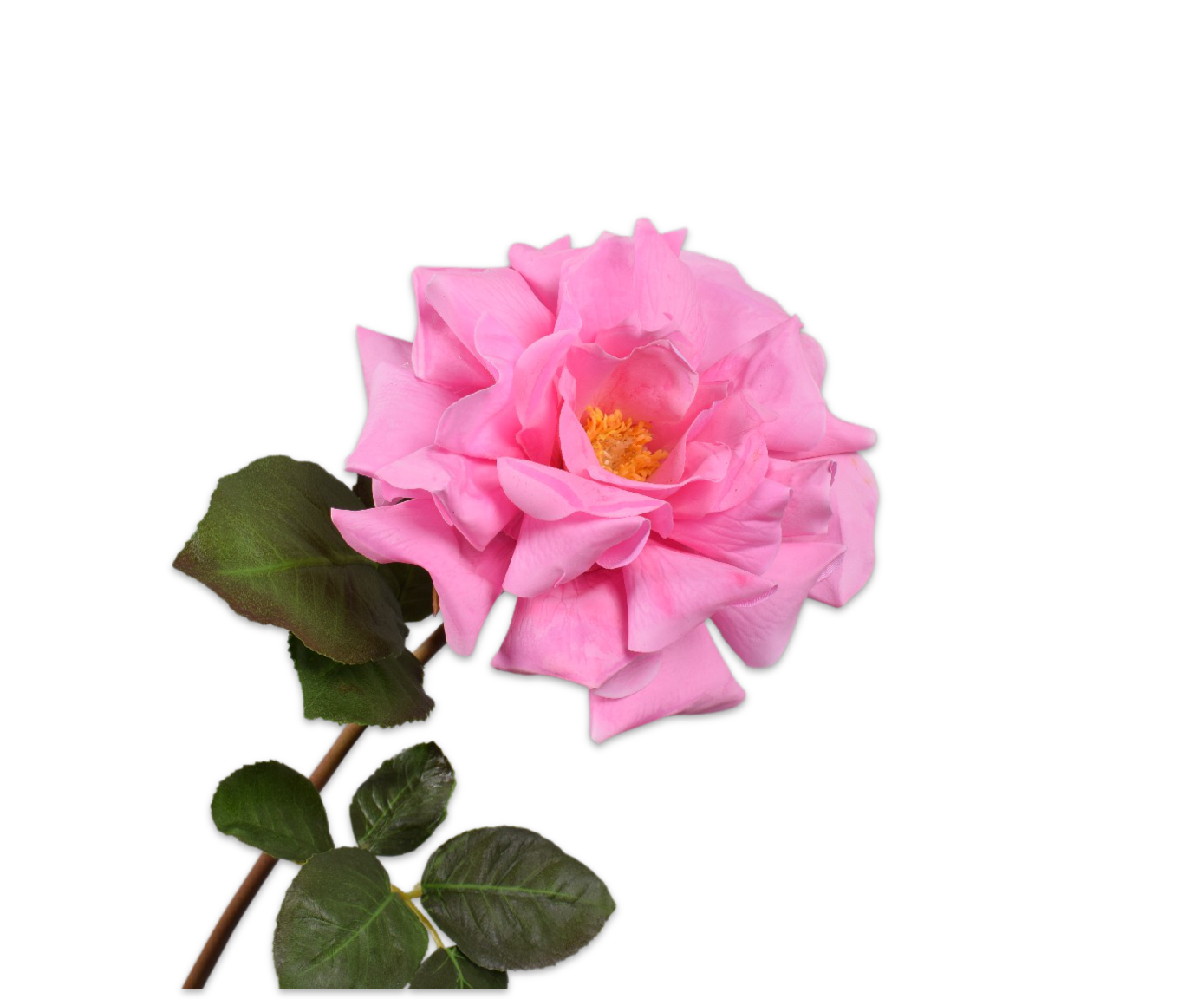 ROOS STEEL ROZE RT 69 cm