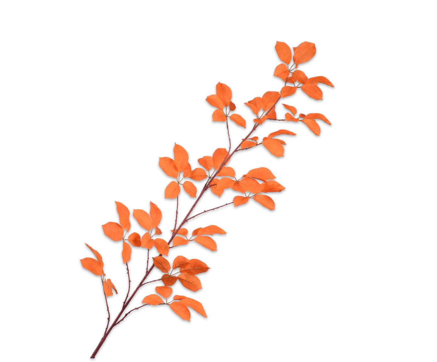 LEAF SPRAY  ORANGE  164 CM