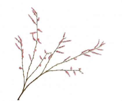 WILLOW BRANCHE  PINK  127 CM