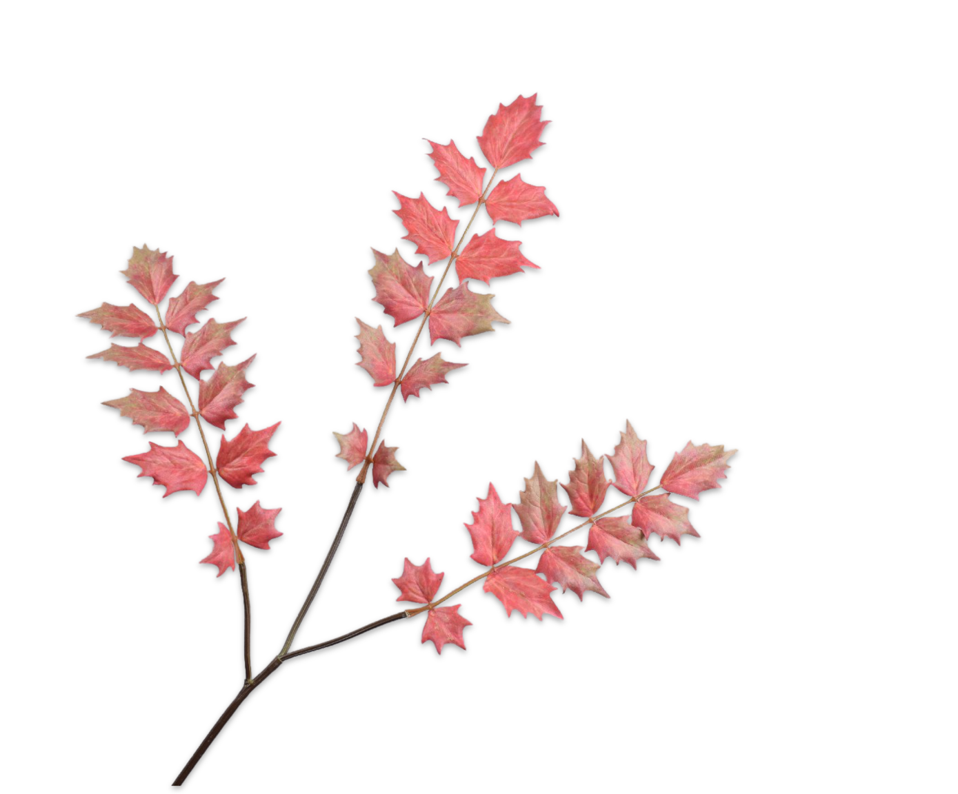 HULST TAK PERZIK 79 cm