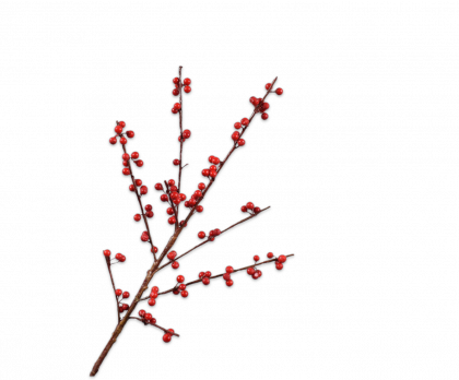 BERRY BRANCHE  ROUGE  74 CM