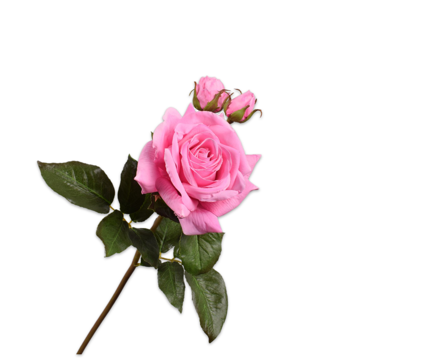 ROSE SPRAY PINK RT  56 CM