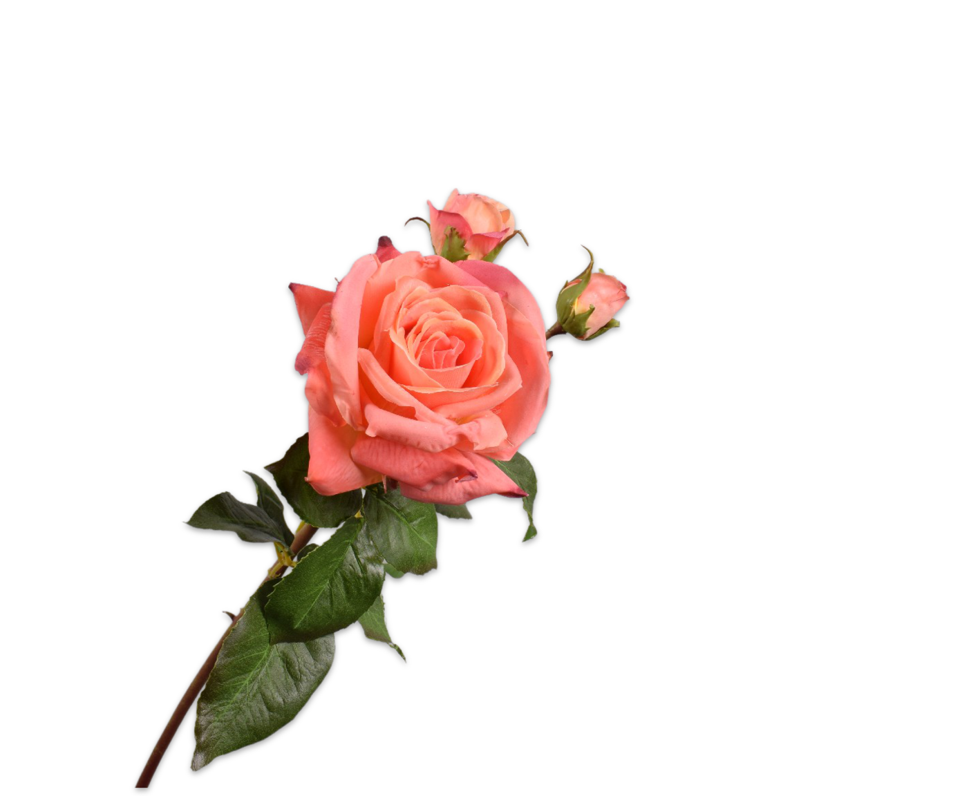 ROSE SPRAY SALMON RT  56 CM