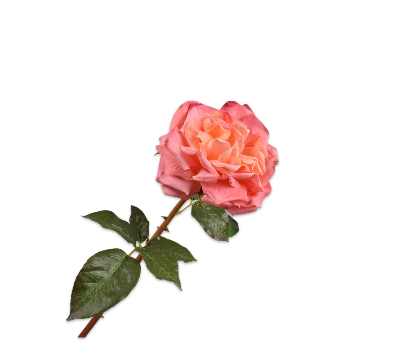 ROSE STEM SALMON RT  51 CM