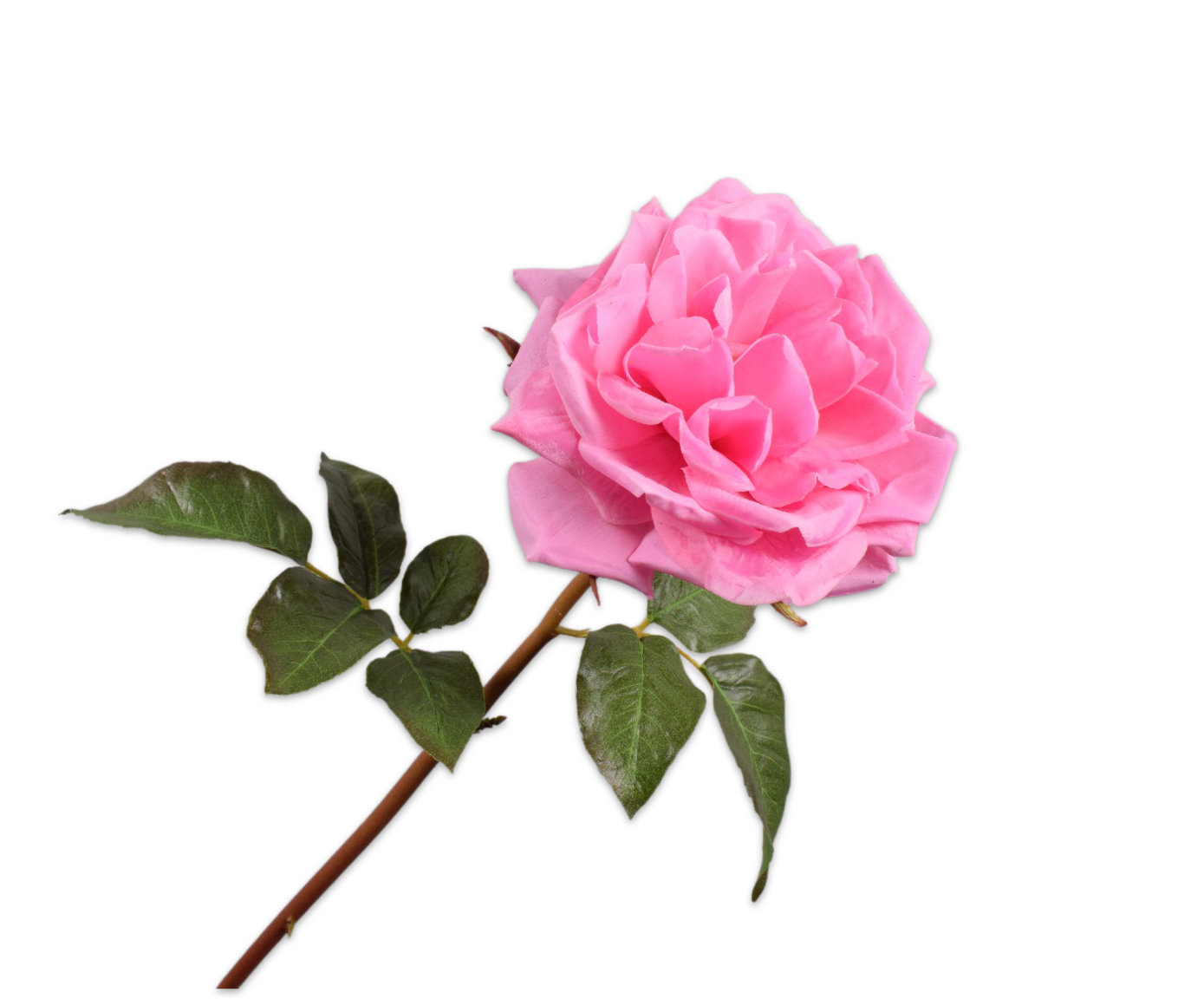 ROSE STEM PINK RT  51 CM