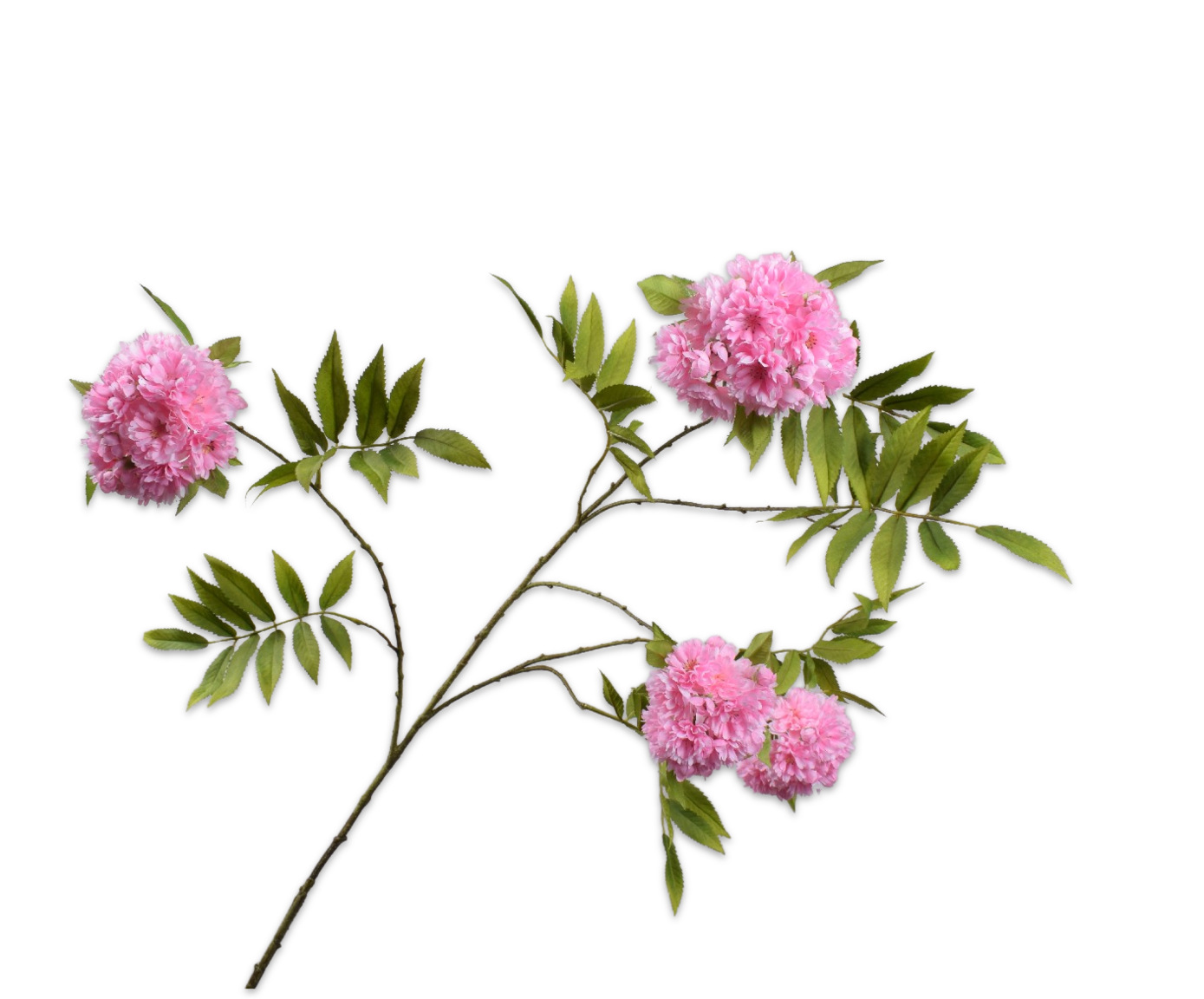 BLOESEM TAK ROZE 149 cm