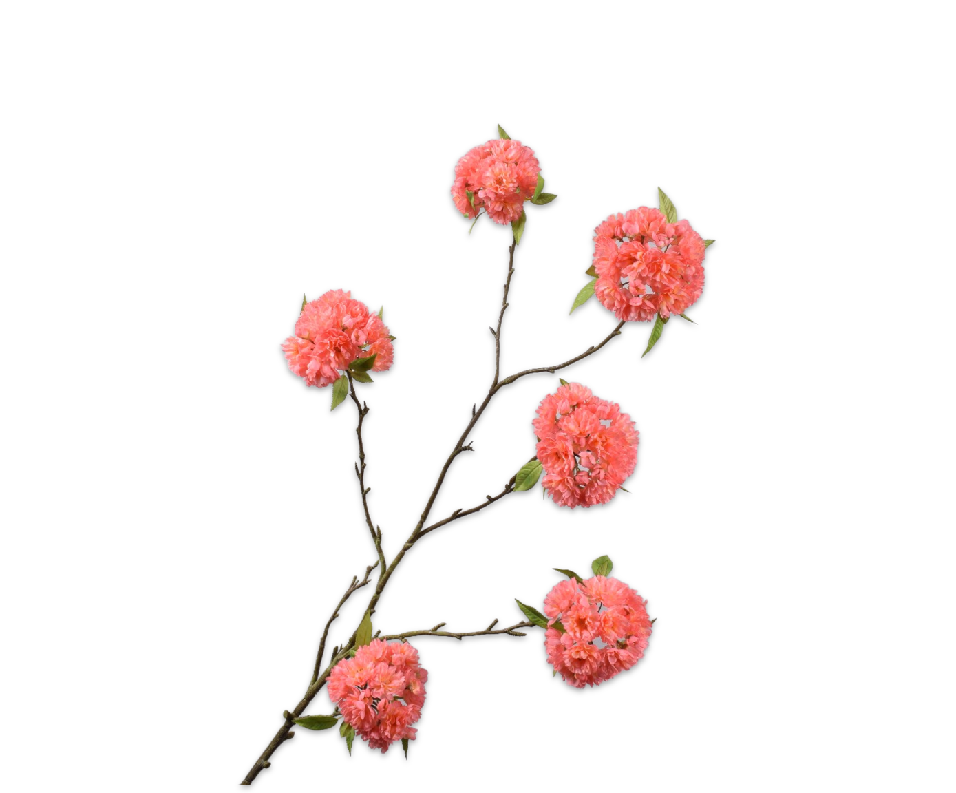 BLOSSOM RAMO PESCA  137 CM