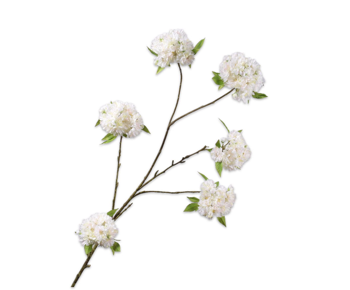 BLOSSOM RAMO CREMA  137 CM