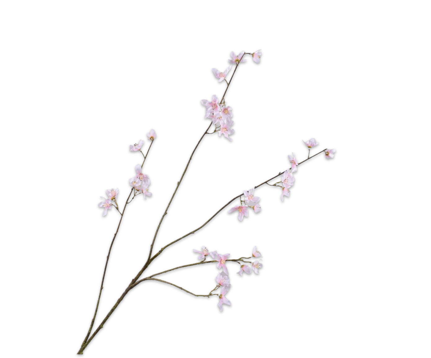 BLOESEM TAK ROZE LT 114 cm