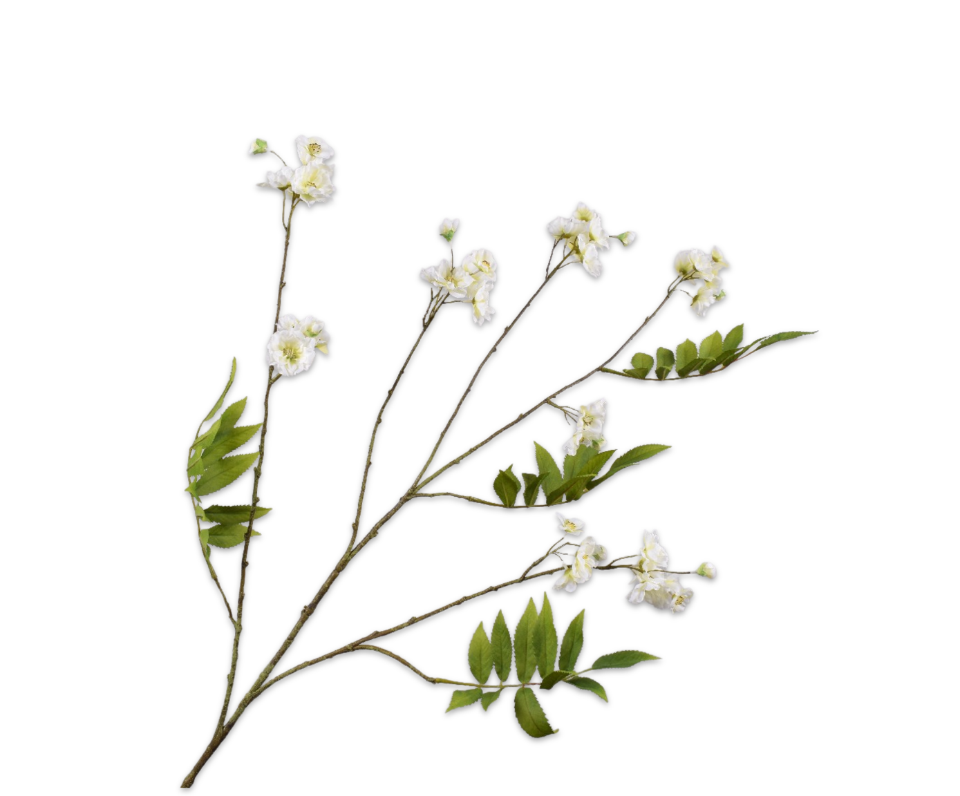 BLOESEM TAK CREME 150 cm