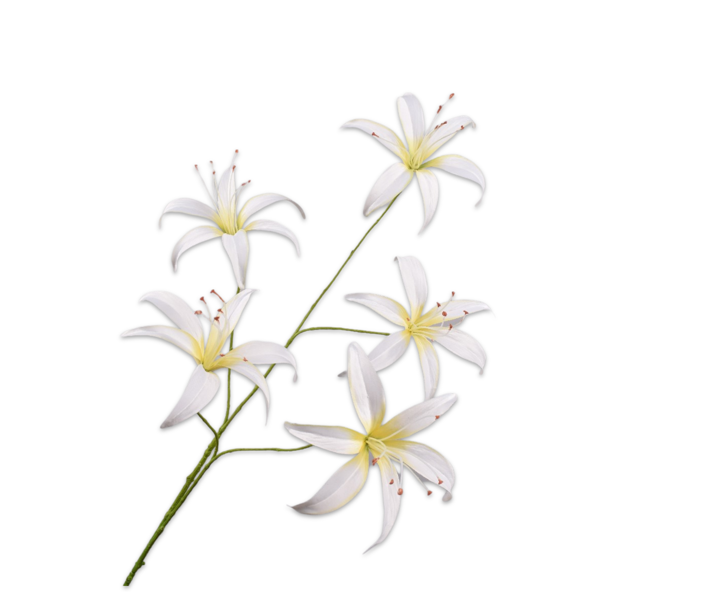 LIRIO RAMA CREMA  113 CM