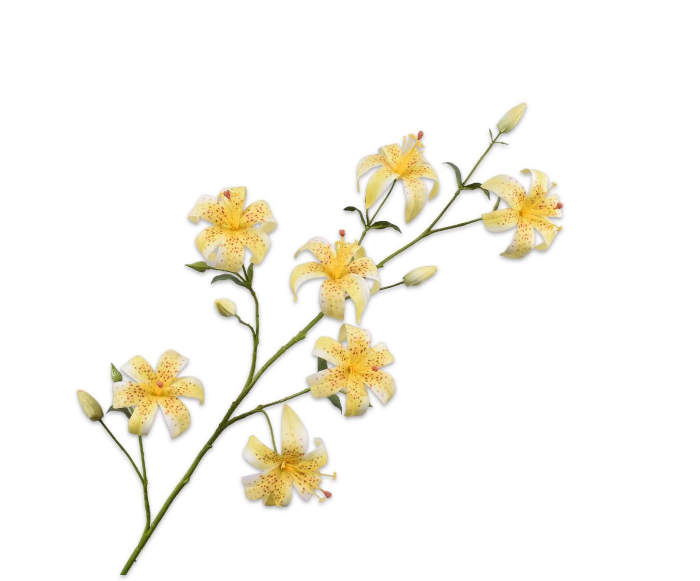 LILIUM RAMO GIALLO  113 CM