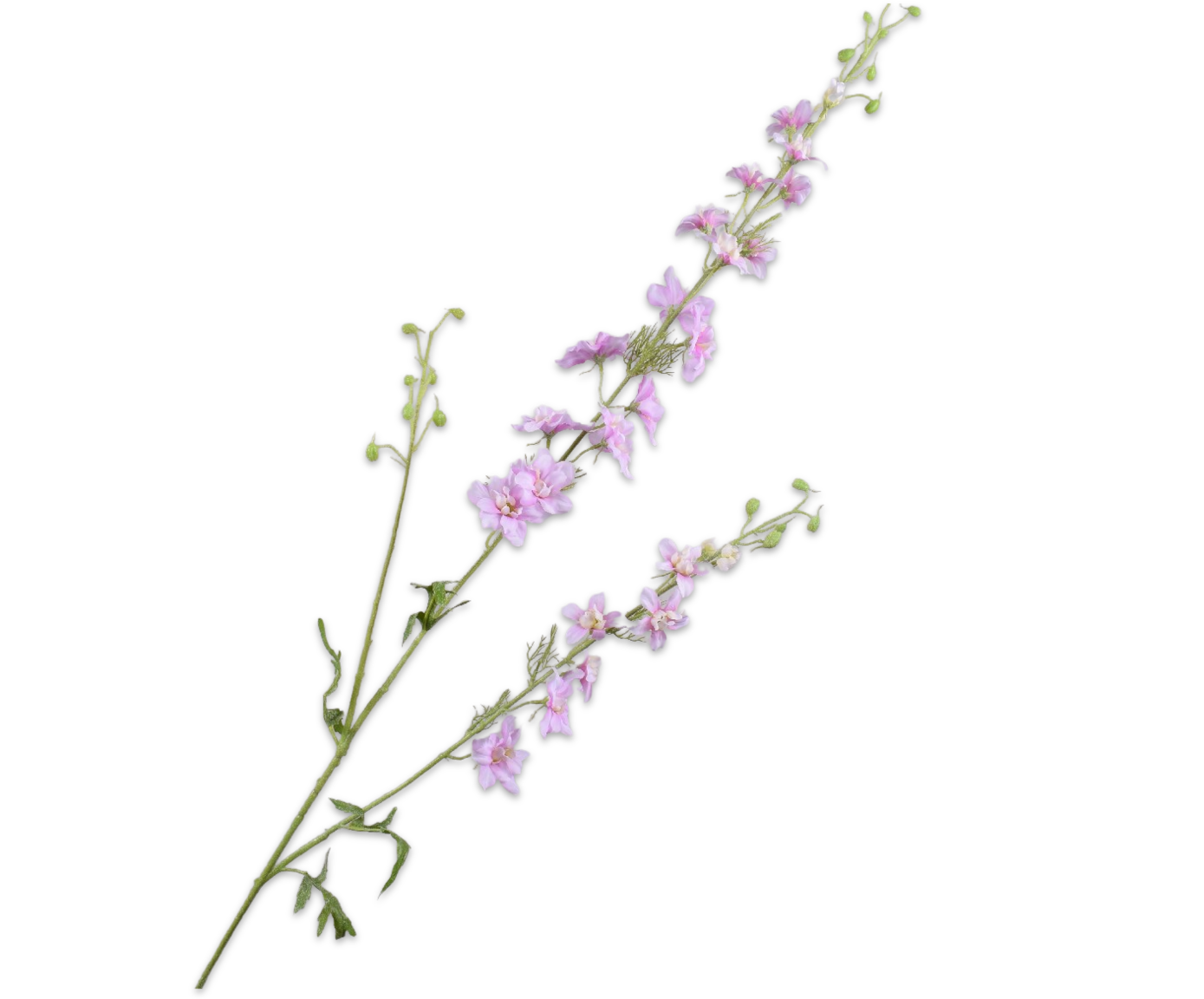 DELPHINIUM SPRAY PINK  122 CM