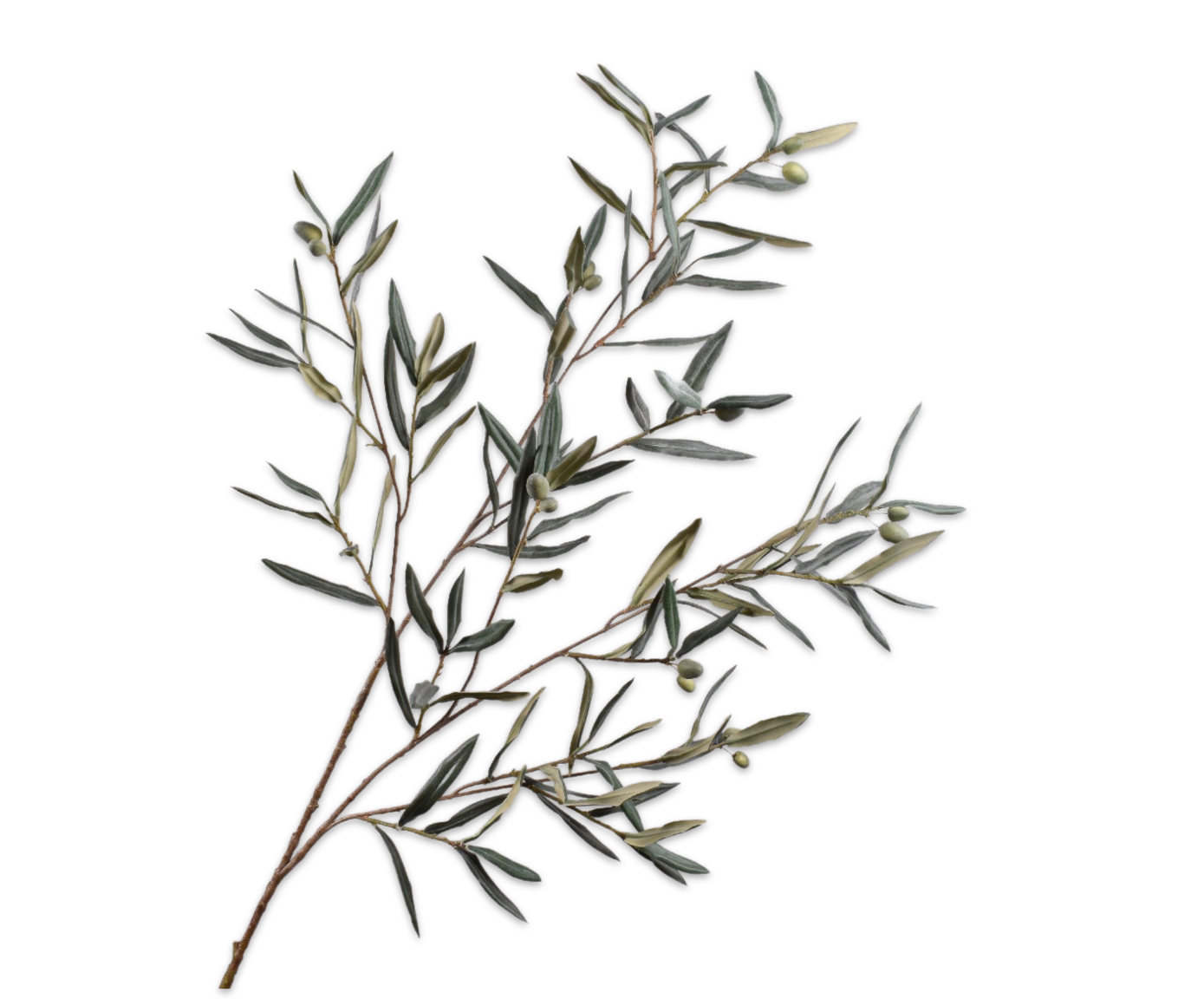OLIVE ZWEIG GRN/GRA  123 CM