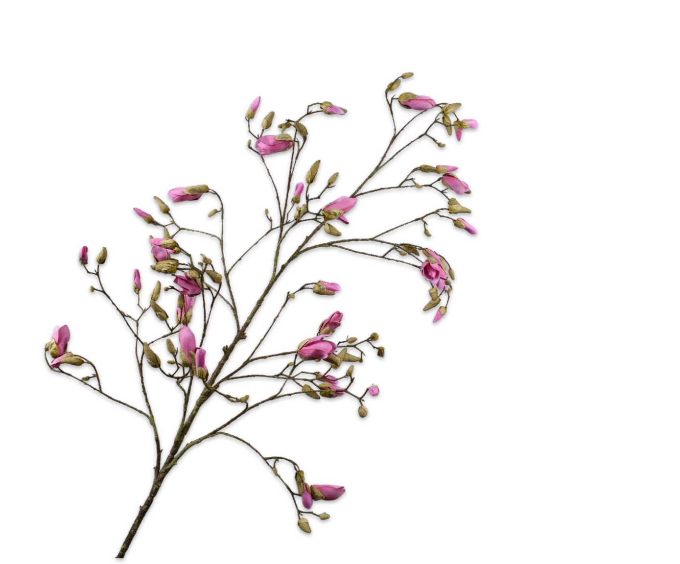 MAGNOLIA SPRAY LAVEND  184 CM