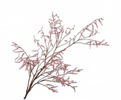 WILLOW BRANCHE  PINK  191 CM