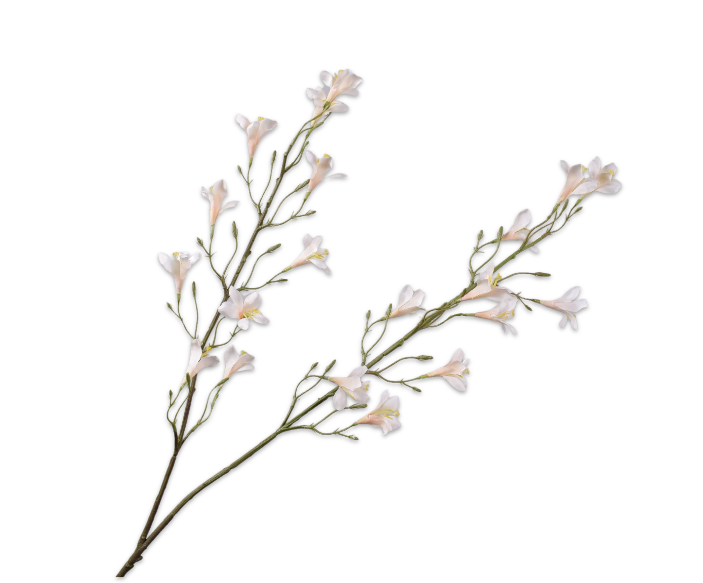 OLEANDRO RAMO CREMA  104 CM