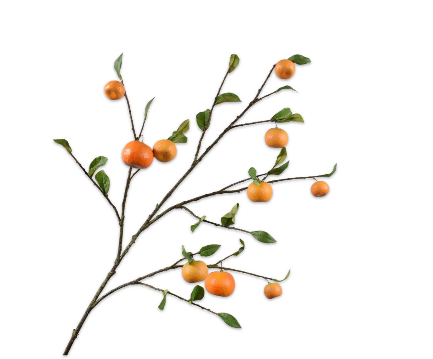 ARANCIA RAMO ARANCIONE  124 CM